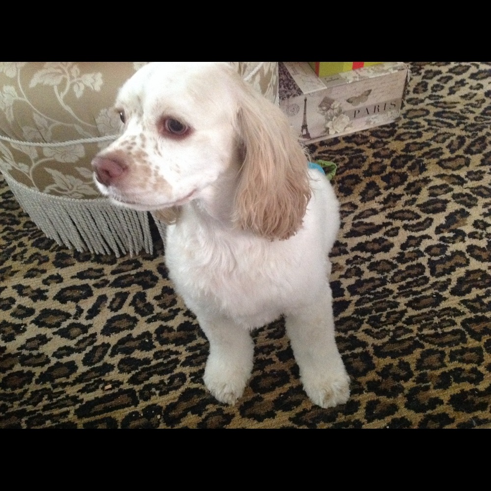 Meet your Posher, Linda